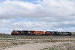 CN 3095/3023/3800/BNSF 9621